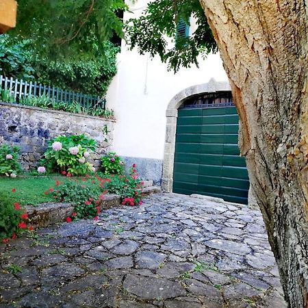 Villa Gioia Montelaterone المظهر الخارجي الصورة